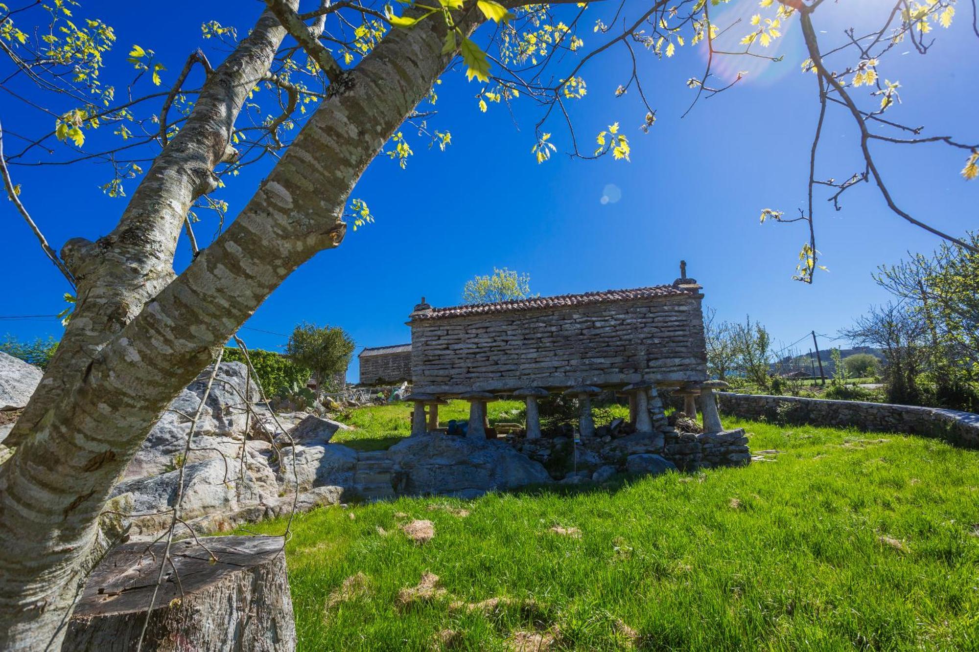 Гостевой дом Casa Lela Думбрия Экстерьер фото